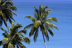 Las Terrenas, República Dominicana